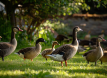 quali animali si possono tenere in giardino